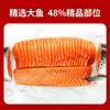 Rare collection of Norwegian chilled salmon mid-section sashimi