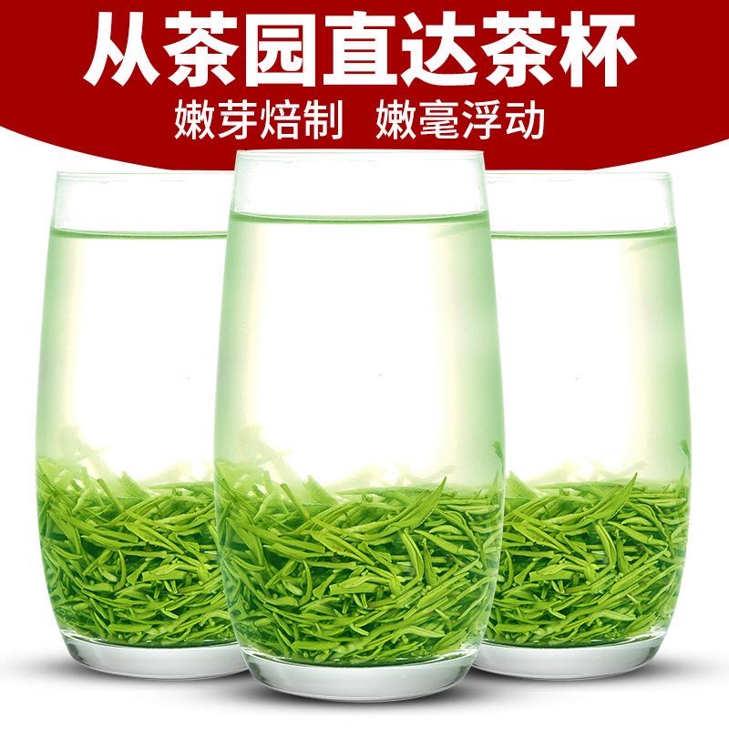 祁雅毛尖绿茶2024新茶茶叶自己喝特级明前春茶浓香散装罐装250g-图2