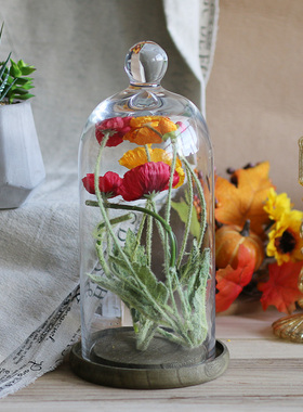 北欧防尘玻璃罩手办珠宝展示盒