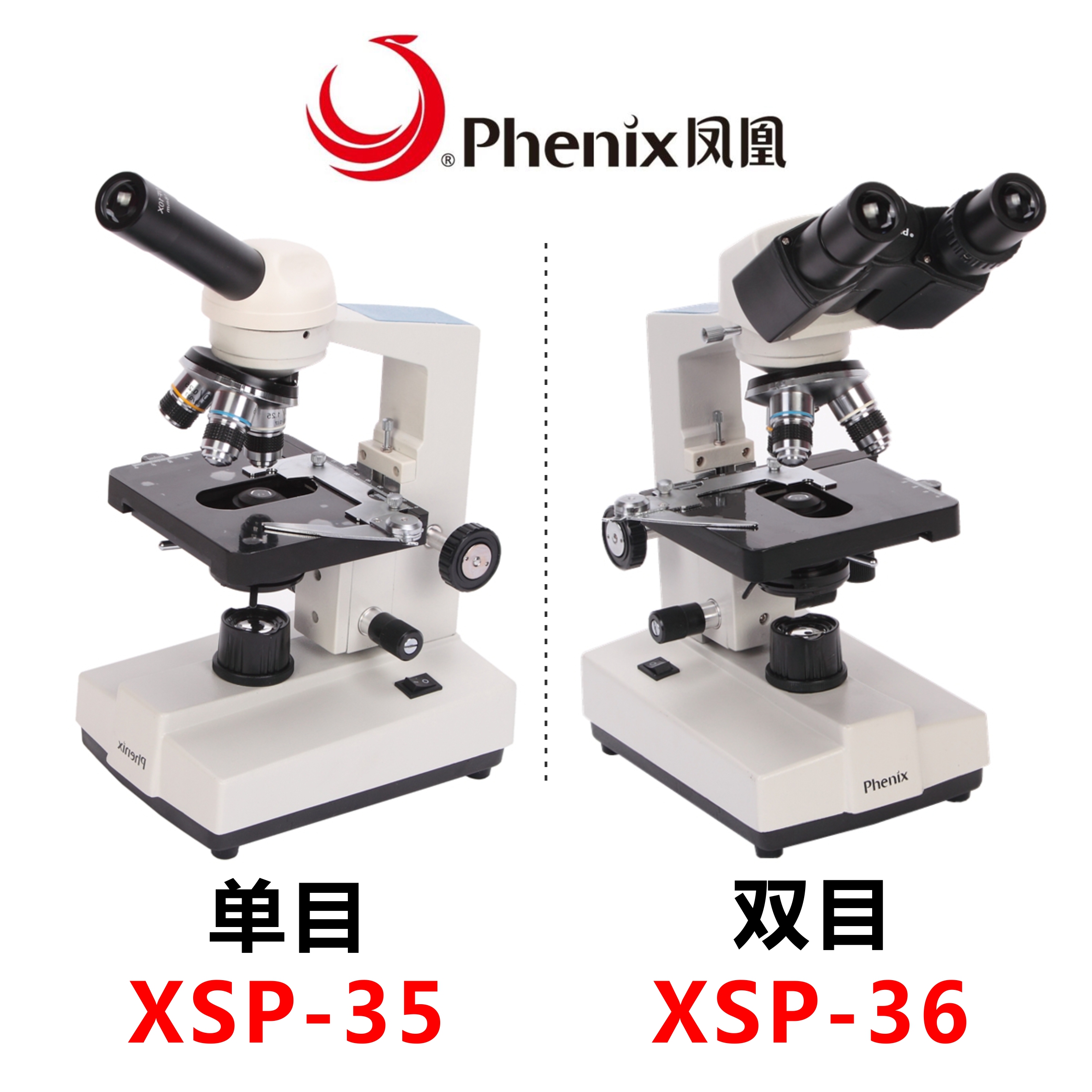 江西凤凰光学显微镜XSP-35/36单双目1600倍高倍学生科普用看精子 - 图0