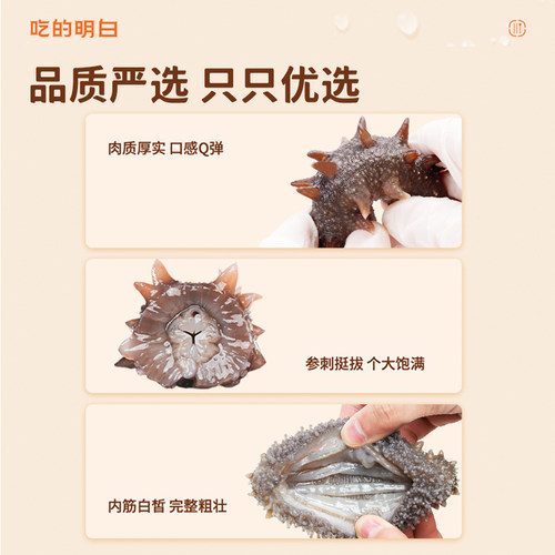 明威鲜食海参辽刺参500g非干货即食海参单只独立包装 - 图1