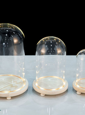 永生花带灯防尘罩发光底座手办