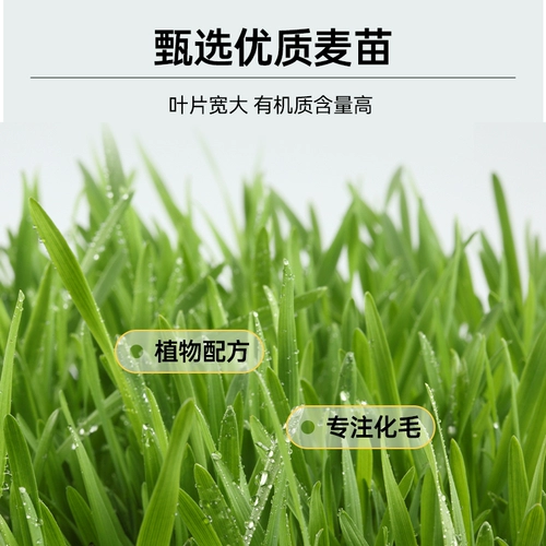Macin Frozen Cat Grass Grains, 毛 毛 毛 毛 Закуски кошек в котят, разметочные зубы, мятный печенье
