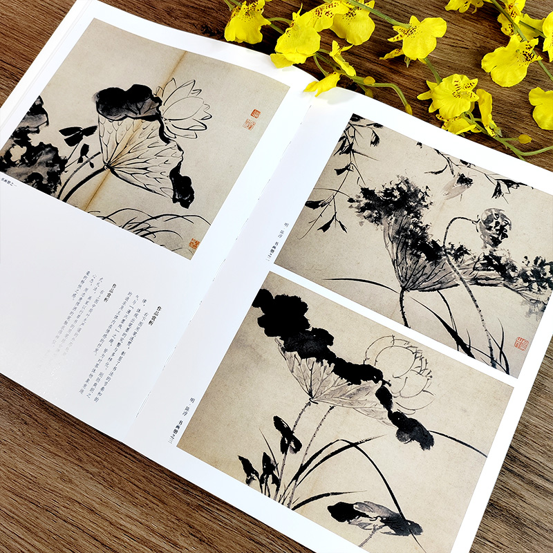 荷花苏百钧中国历代绘画百图花卉集沈周石涛恽寿平等名家画作赏析附解析局部放大便于临摹国画书画爱好者菊花兰花牡丹竹子河南美术