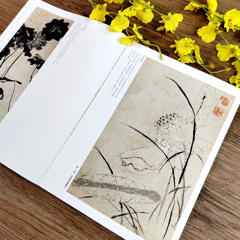 荷花苏百钧中国历代绘画百图花卉集沈周石涛恽寿平等名家画作赏析附解析局部放大便于临摹国画书画爱好者菊花兰花牡丹竹子河南美术