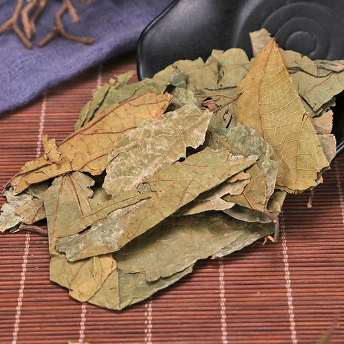 布渣叶中草药包邮500克特级蓑衣子破布叶麻布叶烂布渣中药材店铺 - 图2