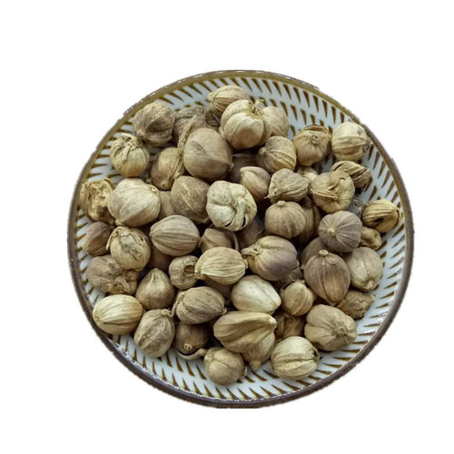 白豆蔻包邮500克香料 白寇仁白扣调料佐料大全中药材店铺干货白叩 - 图3