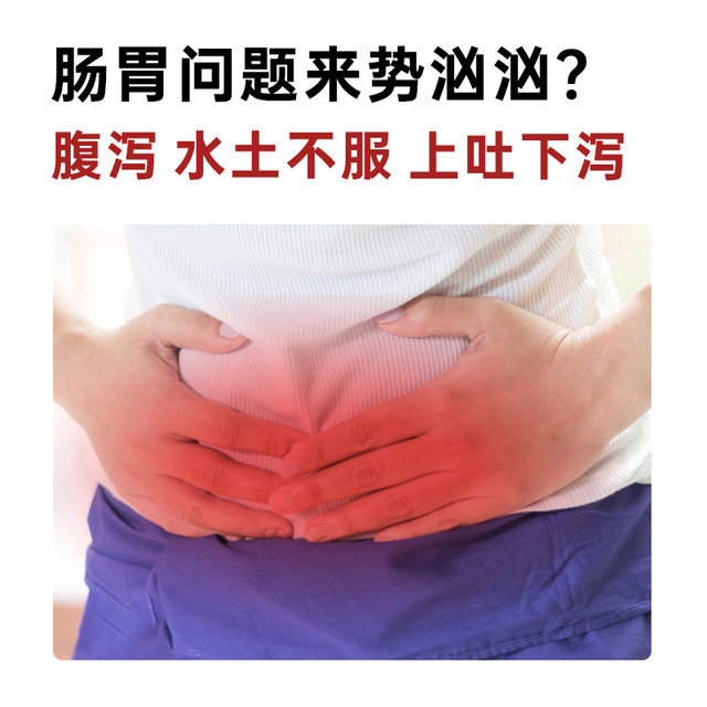 Direct mail from Japan Daxing Pharmaceutical Trumpet Brand Shoro Pills Diarrhea Abdominal Distension Gastrointestinal Discomfort Intestinal Pills Indigestion