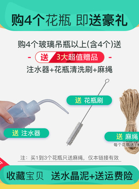 悬挂水培植物玻璃瓶上萝装饰器皿