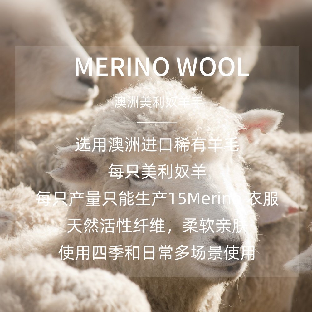 美利奴羊毛打底衫女户外长袖加厚毛衣美丽诺徒步登山连帽运动上衣,淘宝优惠券,粉丝福利购,淘宝优惠卷