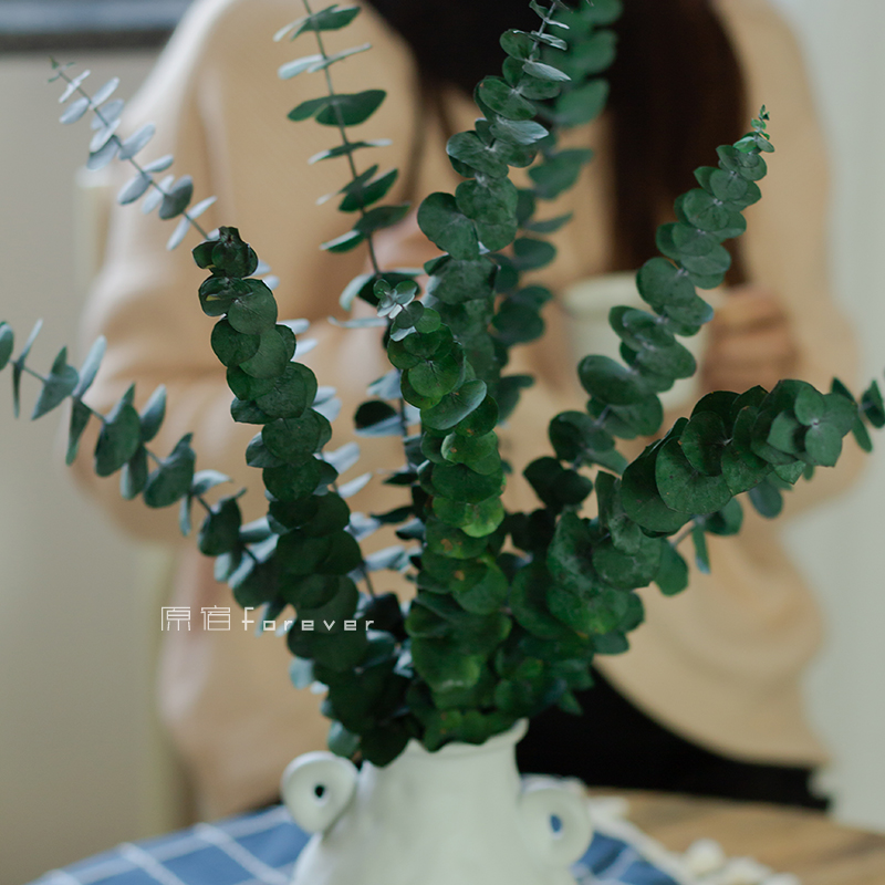 永生真花胺叶干花尤加利叶北欧轻奢家居样板间软装饰花束搭配花材 - 图2