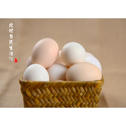 Бейкун рекомендует горам поддерживать экологическую головную бренду, приподнятые яйца почвы, 30 кусочков одного куска бесплатной доставки SF