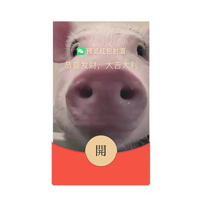 创意搞笑微信红包封面序列号即使你变成了猪可爱新款VX皮肤非永久