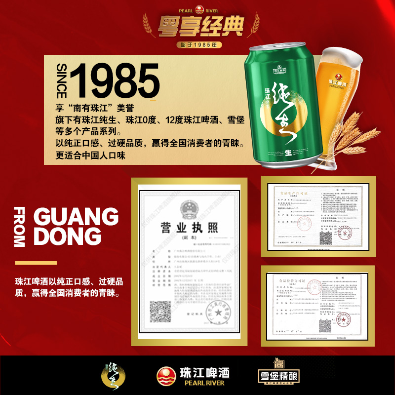 珠江啤酒特制纯生330ml听装生啤酒整箱批发易拉罐装官方旗舰店