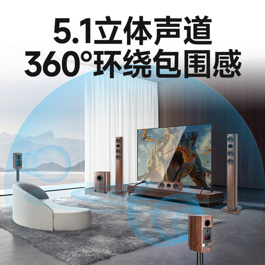 Shanshui 5.1 flagship home audio set