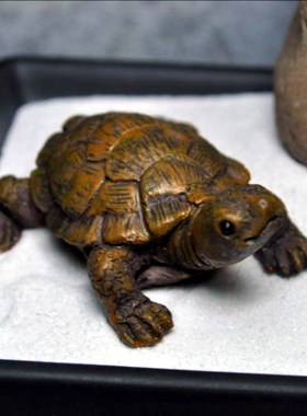 天然艺术中式风微景观创意摆件