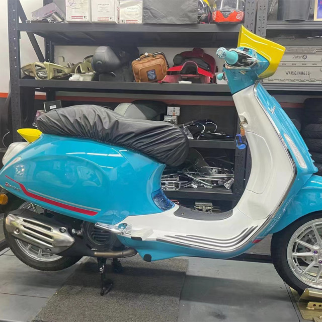 VESPA1503006 Japanese hood sports rear wing
