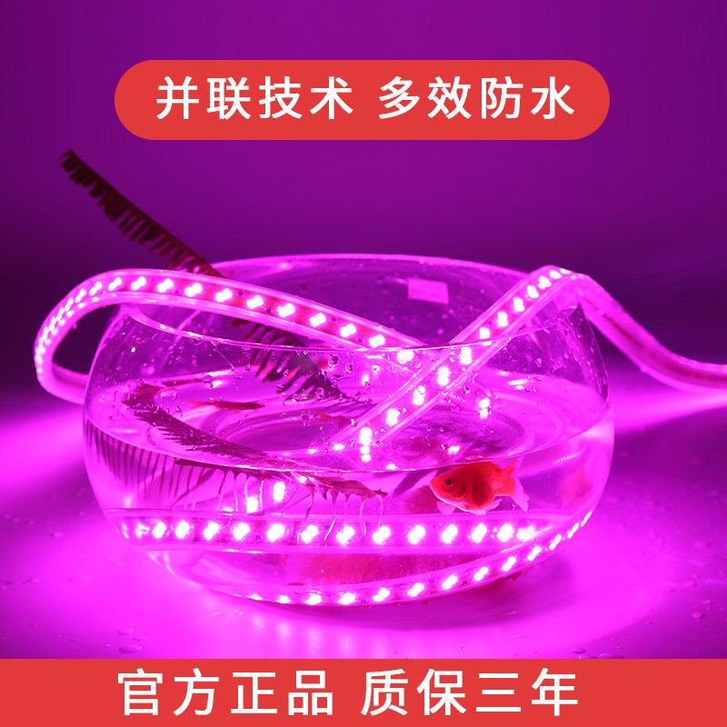 典锐紫色灯带LED三色紫光七彩粉红色灯带变色光吊顶家用220v超亮_虎窝淘