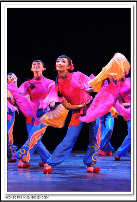 桃李杯民族民间女子群舞《蝴蝶春情》舞蹈服装服饰演出服表演服 - 图0