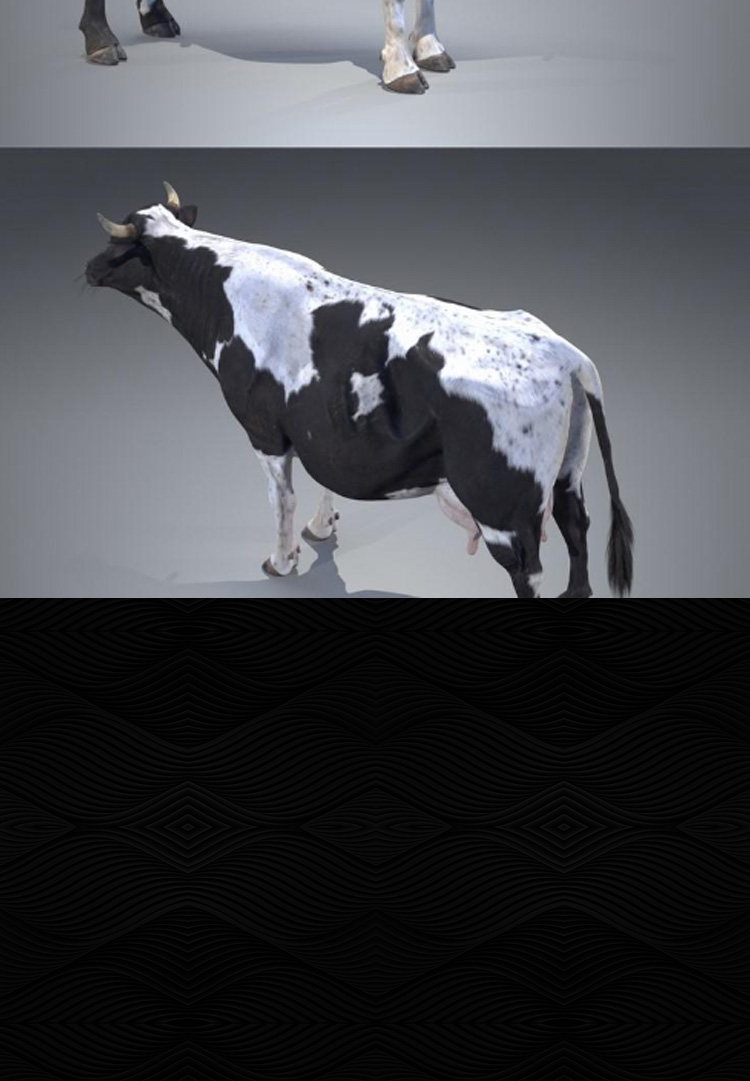 黑白色奶牛3d模型obj单体fbx高精mtl三维设计max建模打印素材c4d - 图1