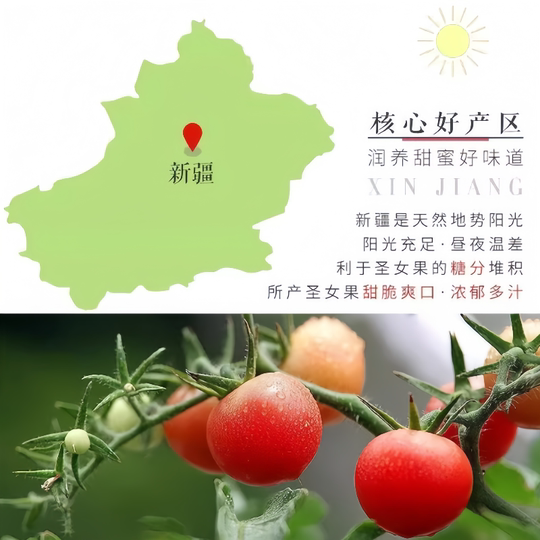 新疆千禧果圣女果干小西红柿番茄干酸甜蜜饯新鲜果脯水果零食包装