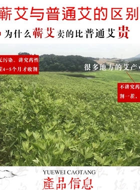 李时珍加粗手工湖北蕲艾条