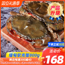 Myanmar Soft-shell Crab Original Imported Green Crab 800g Box 8 Only frozen crab Shuttle crab Shunfeng