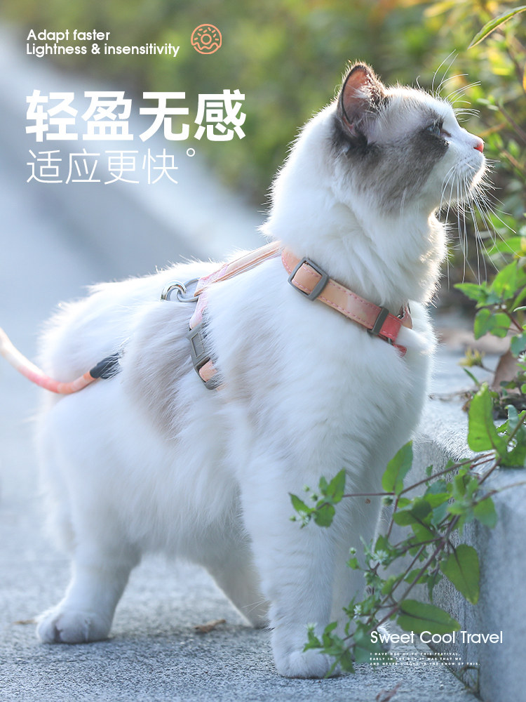 牵引绳防挣脱外出背带链子猫绳子 乐乐猫宠物用品家用牵引带