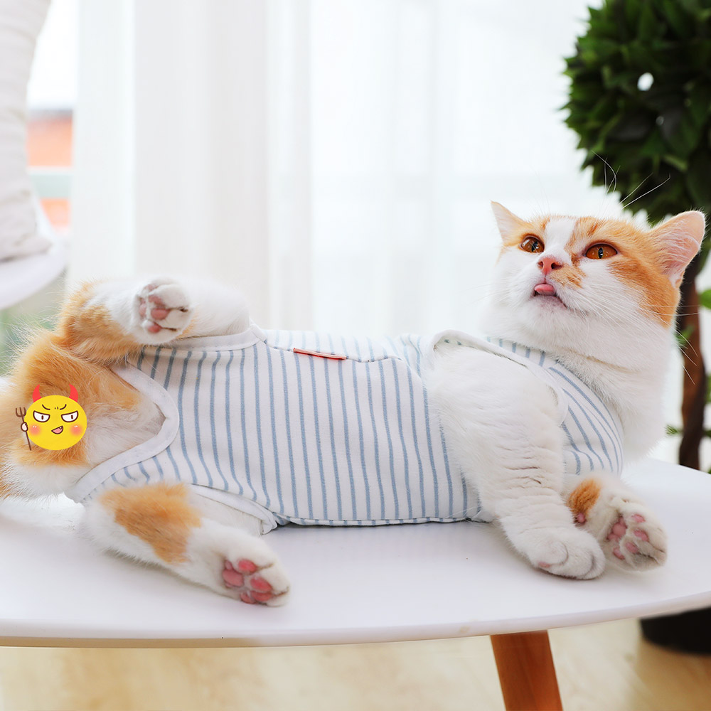 猫手术服母猫绝育衣服断奶服四脚猫咪衣服术后防护透气猫咪绝育服-图0