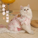 猫咪衣服冬季布偶猫冬装幼猫防掉毛宠物小猫冬天保暖加厚猫猫秋冬