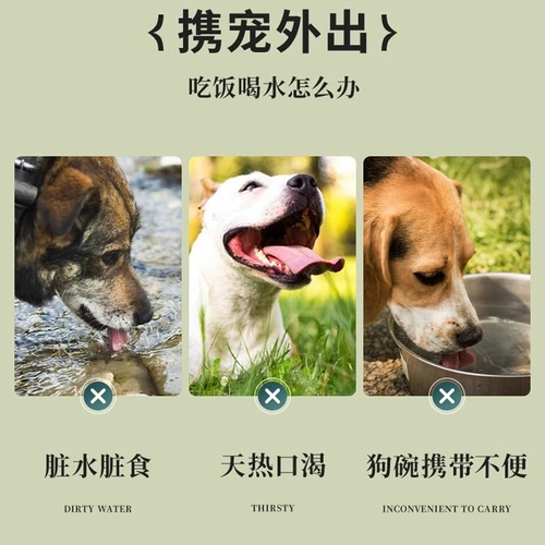 Собачьи домашние животные складывают миску Портативная кошачья чаша для собак, чтобы съесть кошек, чтобы съесть и выпить питьевую воду на открытом воздухе, чтобы питать миски