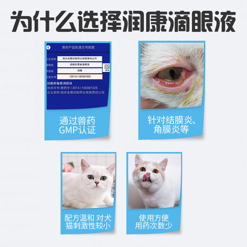 金盾猫眼药水猫咪滴眼液眼药眼睛发炎流泪泪痕消炎支鼻流脓宠物 - 图1