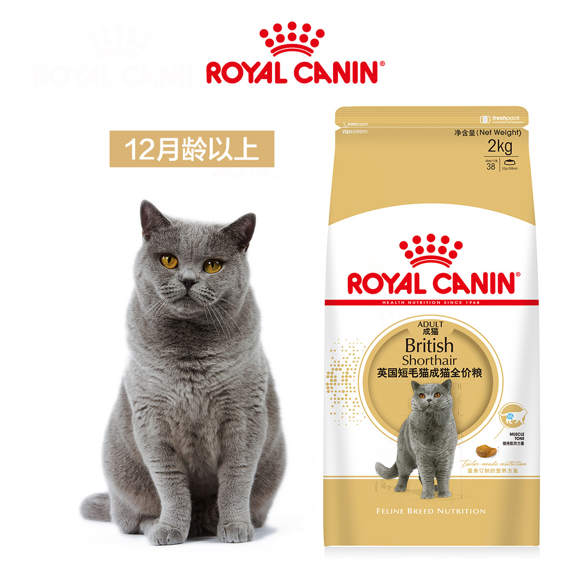 猫粮皇家英国短毛猫成猫粮2kg保护心脏关节英短宠物猫粮食<a href=
