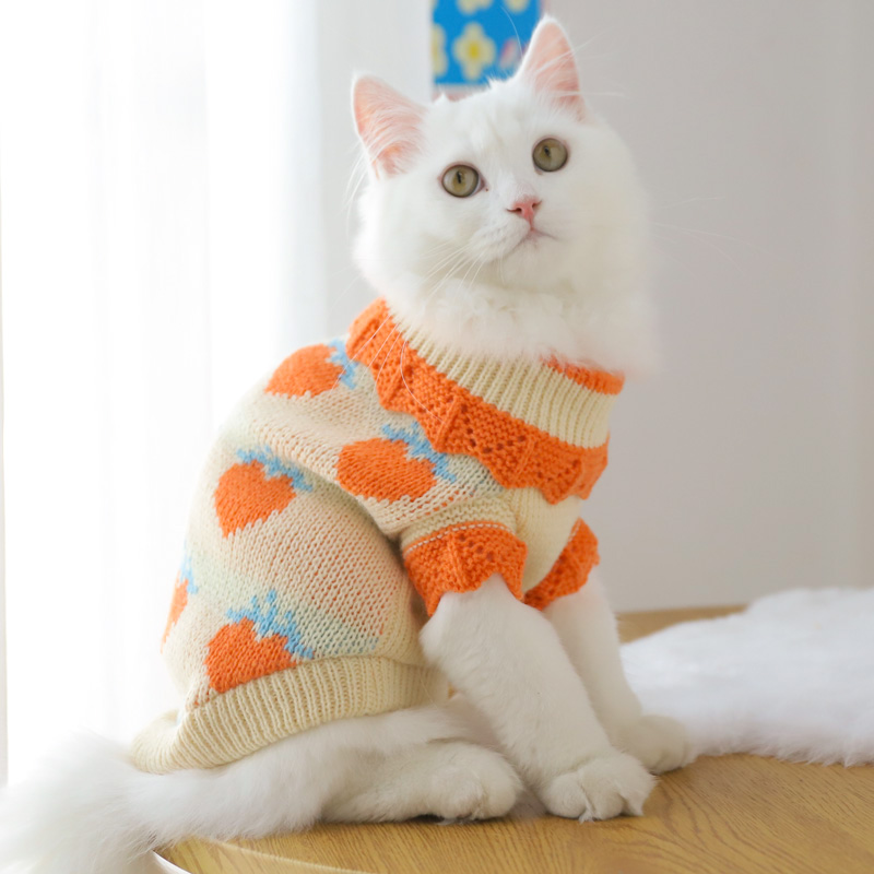 猫咪衣服冬季可爱新年防掉毛秋冬宠物猫猫布偶猫英短小猫毛衣冬天 - 图0