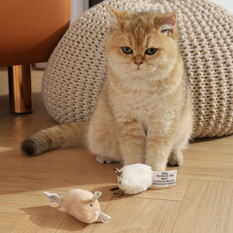  乐乐猫宠物用品逗猫棒