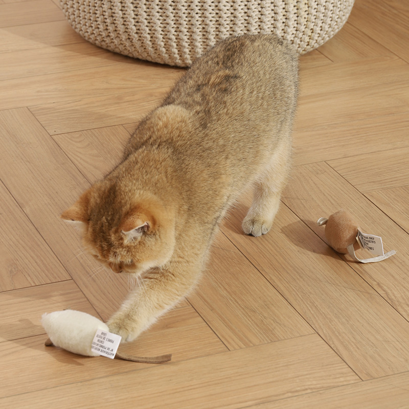  乐乐猫宠物用品逗猫棒