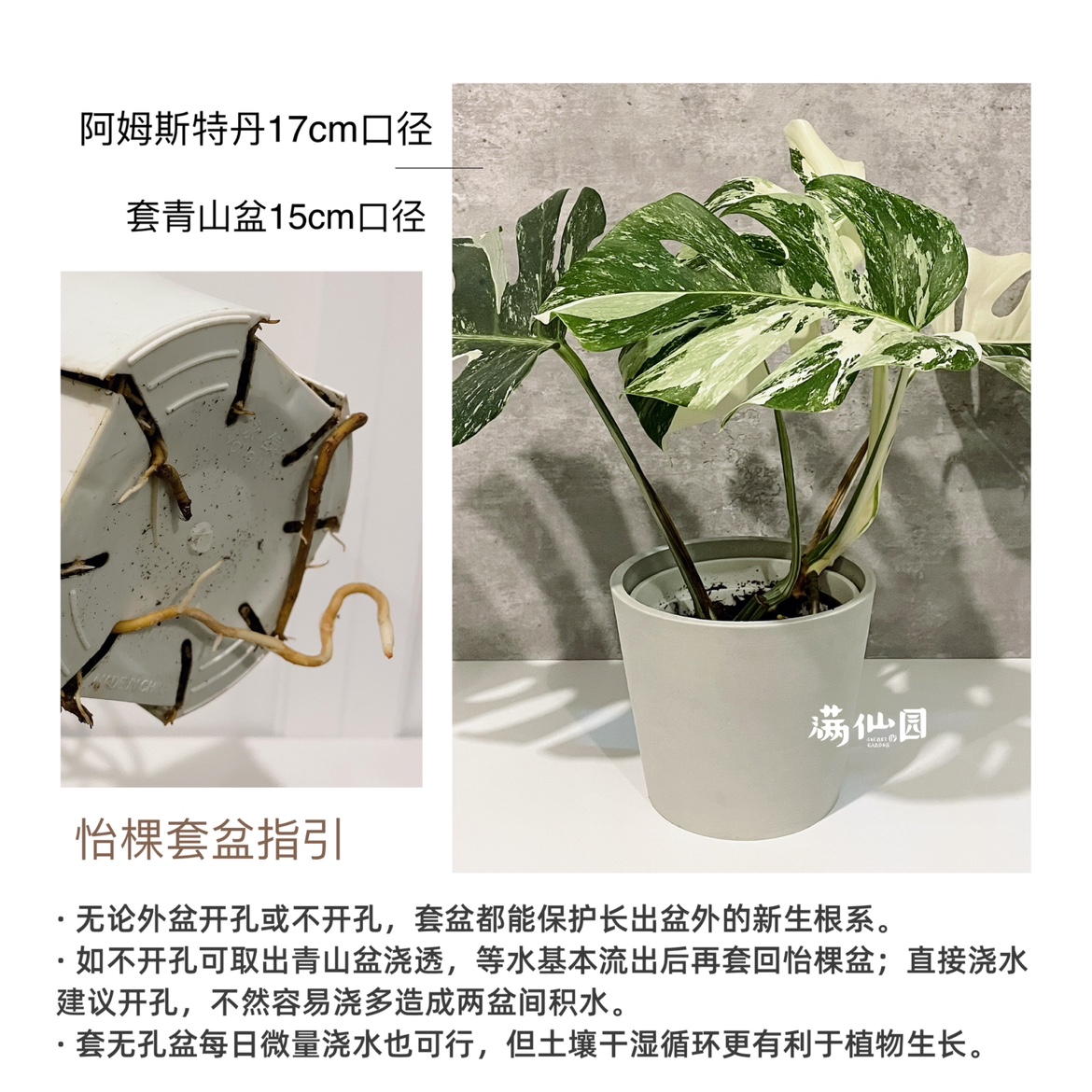 ECOPOTS怡棵比利时进口树脂黑胶花盆17CM块根仙人球多肉绿植北欧-图0