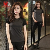 Демисезонная модная одежда для йоги, элитный спортивный костюм для спортзала, коллекция 2021, популярно в интернете