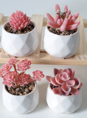 红色系植绒仿真多肉植物绿植 家居装饰迷你摆件组合人造盆栽盆景