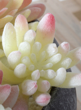 白色系植绒仿真多肉植物绿植 家居装饰迷你摆件组合人造盆栽盆景