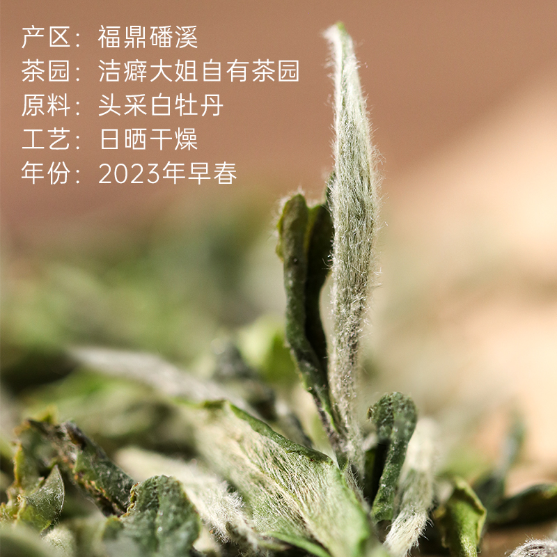 福鼎白茶2024首采牡丹王特级花香白牡丹磻溪茶叶小师姐评茶大姐-图3