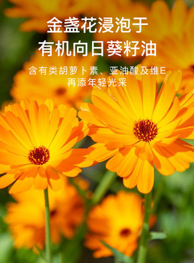 金盏花浸泡油基础护理油