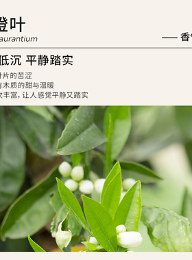 Florihana法国F家苦橙叶精油油性肌按摩放松香薰睡眠