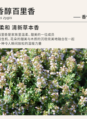 Florihana法国F家沉香醇百里香精油按摩放松香薰净化