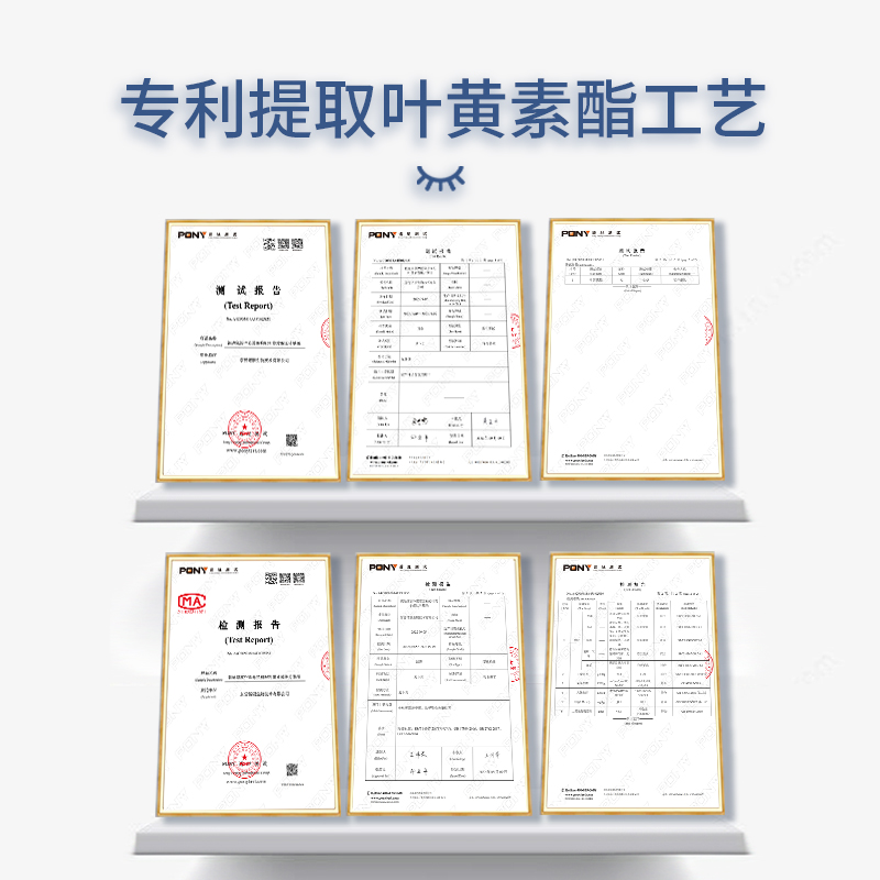 朗迪家族蓝莓黑枸杞叶黄素酯无蔗糖型护儿童成人中老年眼官方正品 - 图3