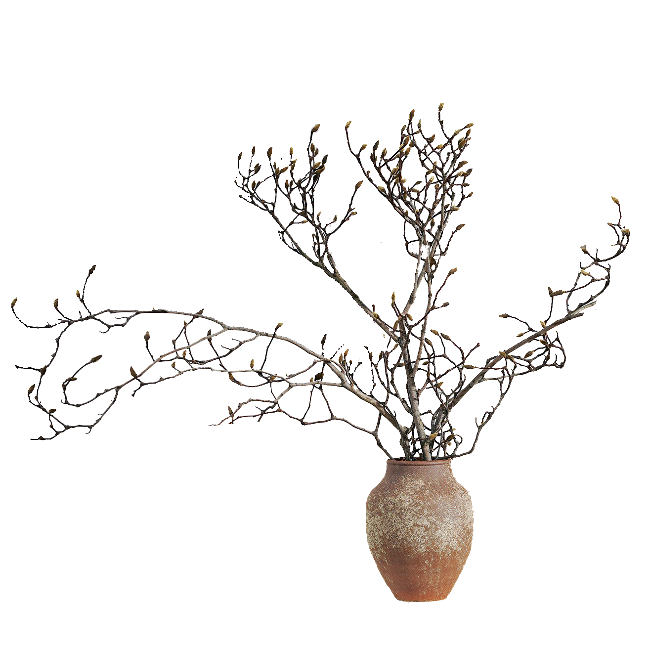 玉兰干枝小众插花神器高端天然植物插花材家居软装酒店民宿样板房 - 图3