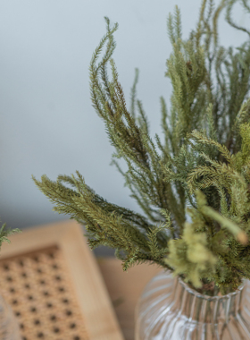 家居干花天然客厅摆件石松狮子