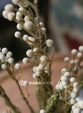 kakawood干花小银果插花配草