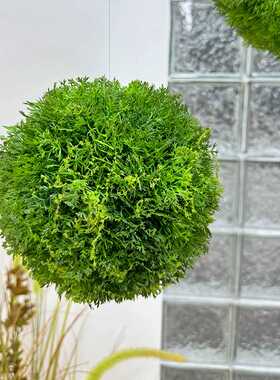 微景观仿真植绒青苔永生白发藓