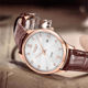 Renault Casual Simple Couple Waterproof Watch